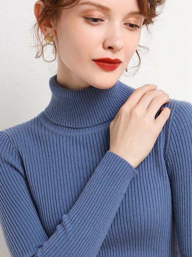 Long-sleeve Turtleneck Sweater