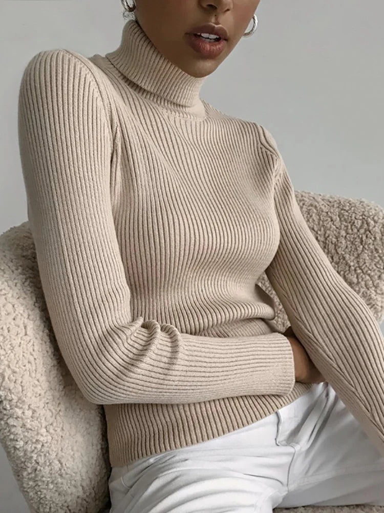 Long-sleeve Turtleneck Sweater